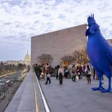 National Gallery Nights