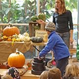 (Grades 1-3) It’s a Pumpkin’s Life Field Trip