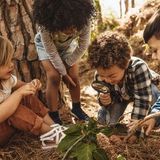 (Grades PreK-1) Fall in the Forest Field Trip