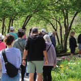 Guided Garden Tours