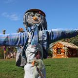 Scarecrows, Pumpkins & Harvest Fun