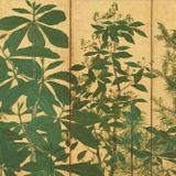 Tours | Arts of Japan