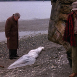 TWIN PEAKS Season 1 Marathon