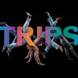 Pilobolus