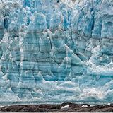 Homer, Wildlife & Heart of Alaska Ultimate Cruisetour