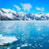 Mountain Panorama & Alyeska Adventure Cruisetour
