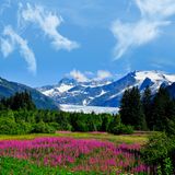 Alaska Experience Cruise