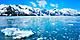 Destination Denali Cruisetour