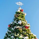 Tree Lighting Celebration