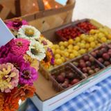 Gatlinburg Farmers Market