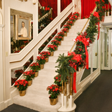 Christmas Tours at Graceland