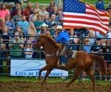 Hiawassee Pro Rodeo