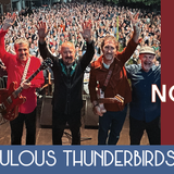 The Fabulous Thunderbirds