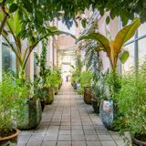 An Orangerie Spice Exploration