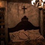 The Study