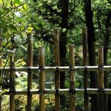 Constructing Bamboo Fences and Screens