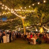 Party in the Park