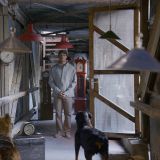 John Akomfrah: The Hour Of The Dog