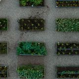 Growing by the Seasons with Terance
