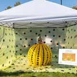Art Alive 2026 Celebration