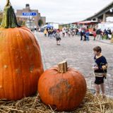 Fall Fest at Canalside