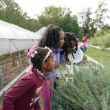Volunteer at THEARC Farm – planting, weeding, growing
