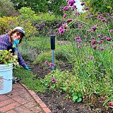 Meadow Brook Garden Club: Gardening Day
