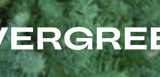 Evergreen Holiday Group Exhibition