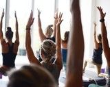 Hawke's Bay Yoga Festival