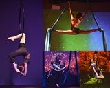 Fall Aerial Arts 5+ year students