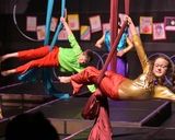 Fall Aerial Arts Beginner Class