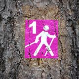 Nordic Walking