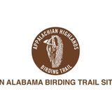 Birding
