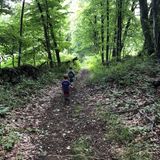 Summer Camps