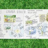 Nature Journaling Class (free)
