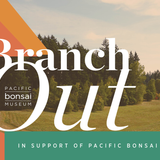 Branch Out