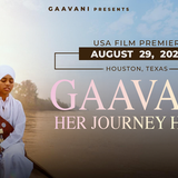 Gaavani