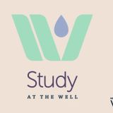 Study at The Well - Fall 2026