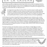 Web of Life (Grades 3 & 4)