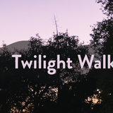 Twilight Walk