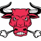 BULL RIDES