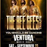 You Should Be Dancing - A Tribute to the Bee Gees