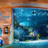 Interactive Stingray Feedings