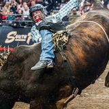 Ram PBR Portland Family