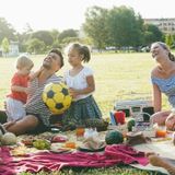 Family Picnic