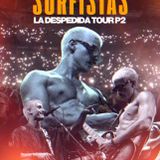 Surfistas Del Sistema