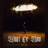 THE BAND FEEL: What of Now Tour