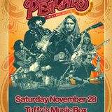 Steeln' Peaches: Allman Brothers Revue