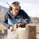 chainsaw carving