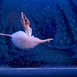 Appalachian Ballet: The Nutcracker - School Matinee